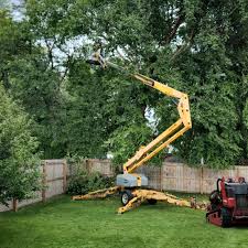 Best Lawn Pest Prevention  in Santa Paula, CA